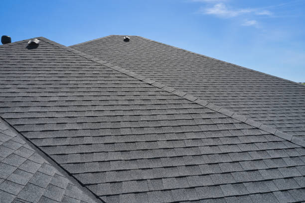 Best Solar Panel Roofing Installation  in Little River, SC